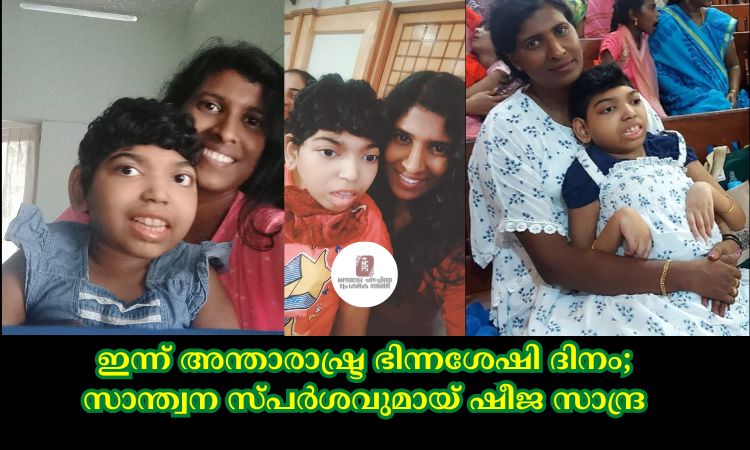 ഇന്ന് അന്താരാഷ്ട്ര ഭിന്നശേഷി ദിനം; സാന്ത്വന സ്പർശവുമായ് ഷീജ സാന്ദ്ര